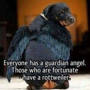 Meet your Posher, Gail